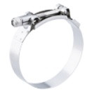 6.75in. T-Bolt Clamp SS